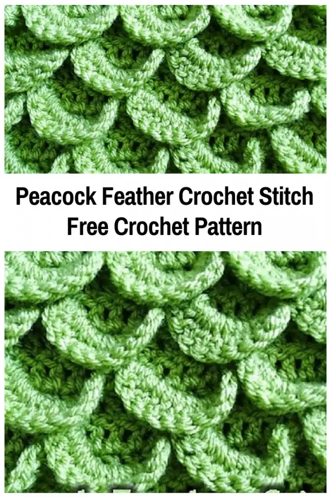 Peacock Feather Crochet Stitch Free Pattern
