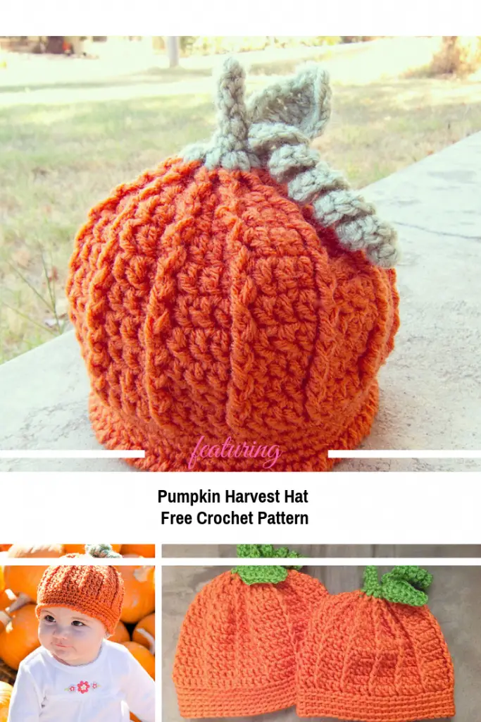 Pumpkin Beanie For Baby & Toddle Crochet Pattern