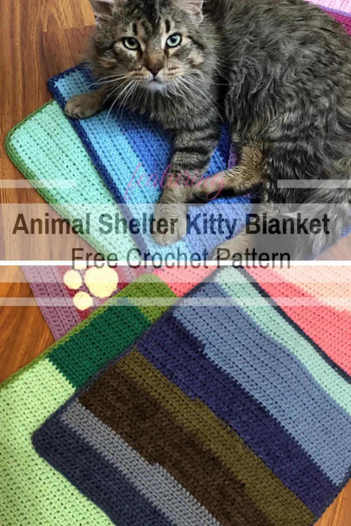 Make A Kitty Blanket To Donate To A Local Animal Shelter