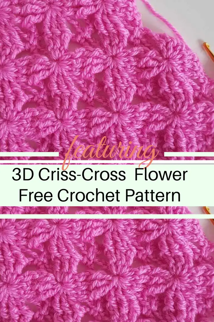 Learn A New Crochet Stitch: Cute Little 3D Criss-Cross Crochet Flower