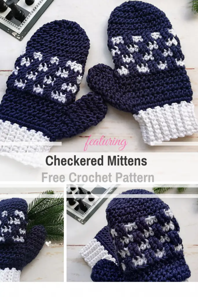 [Free Pattern] Crochet Mittens With Unique Checkered Texture