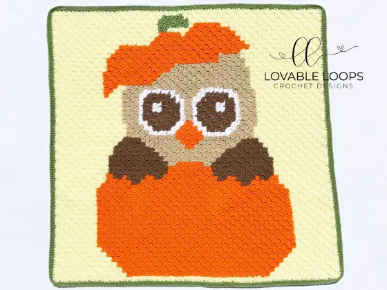 Crochet Owl Blanket Free Pattern 
