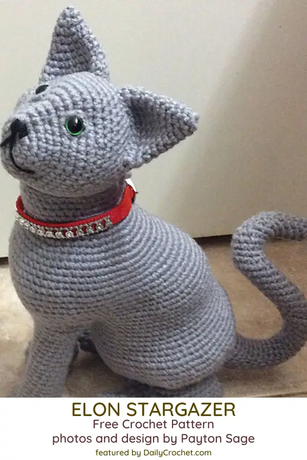 Curious Cat Free Crochet Pattern
