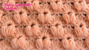 Learn A New Crochet Stitch: Puff And Fans Crochet Stitch