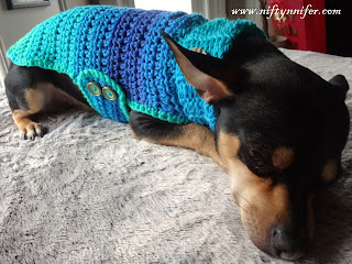 Crochet Chihuahua Sweater Pattern