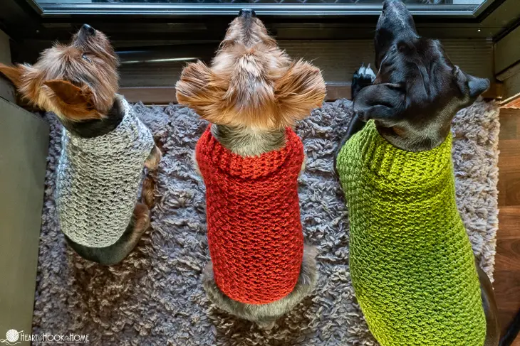 Easy Crochet Dog Sweater Pattern For Beginners