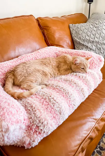 Adorable Crochet Cat Couch For Your Feline Friend