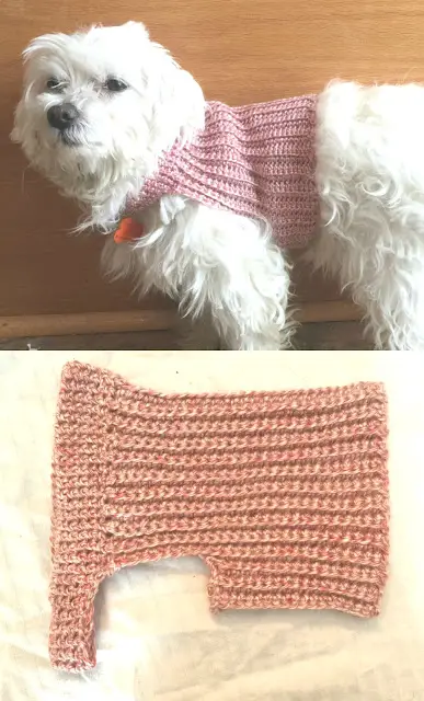 DIY Crochet Dog Sweater- Free Crochet Patterns for Dogs