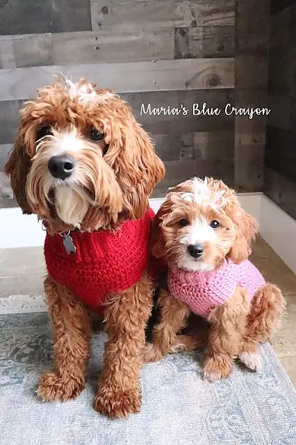 Basic Dog Sweater- Free Crochet Patterns for Dogs