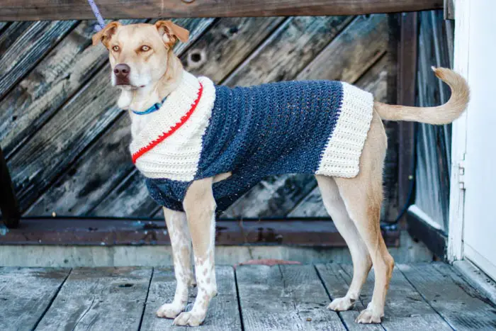 Easy Crochet Dog Sweater- Free Crochet Patterns for Dogs