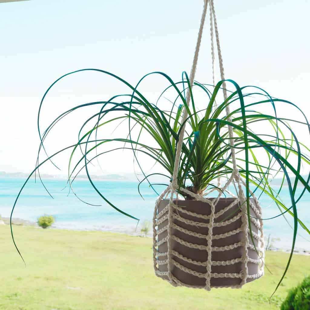 Easy Plant Hanger- Crochet Ideas For All Crochet Skill Levels